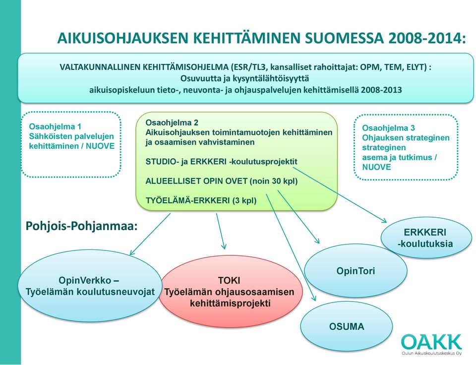 Aikuisohjauksen toimintamuotojen kehittäminen ja osaamisen vahvistaminen STUDIO- ja ERKKERI -koulutusprojektit ALUEELLISET OPIN OVET (noin 30 kpl) TYÖELÄMÄ-ERKKERI (3 kpl)