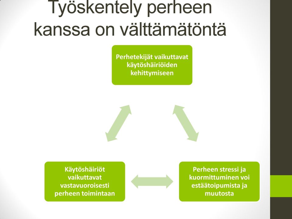 vaikuttavat vastavuoroisesti perheen toimintaan Perheen