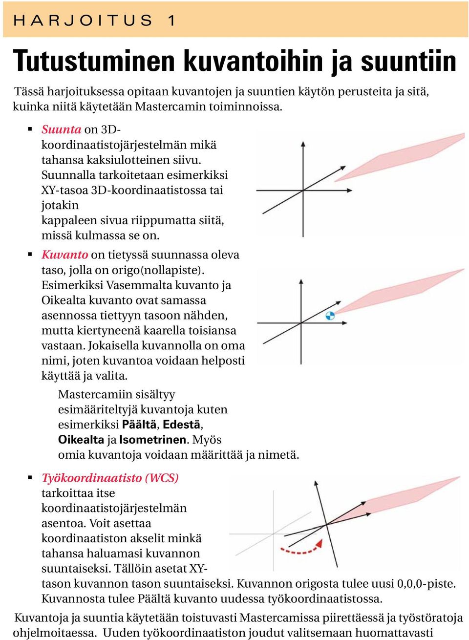 Suunnalla tarkoitetaan esimerkiksi XY-tasoa 3D-koordinaatistossa tai jotakin kappaleen sivua riippumatta siitä, missä kulmassa se on.