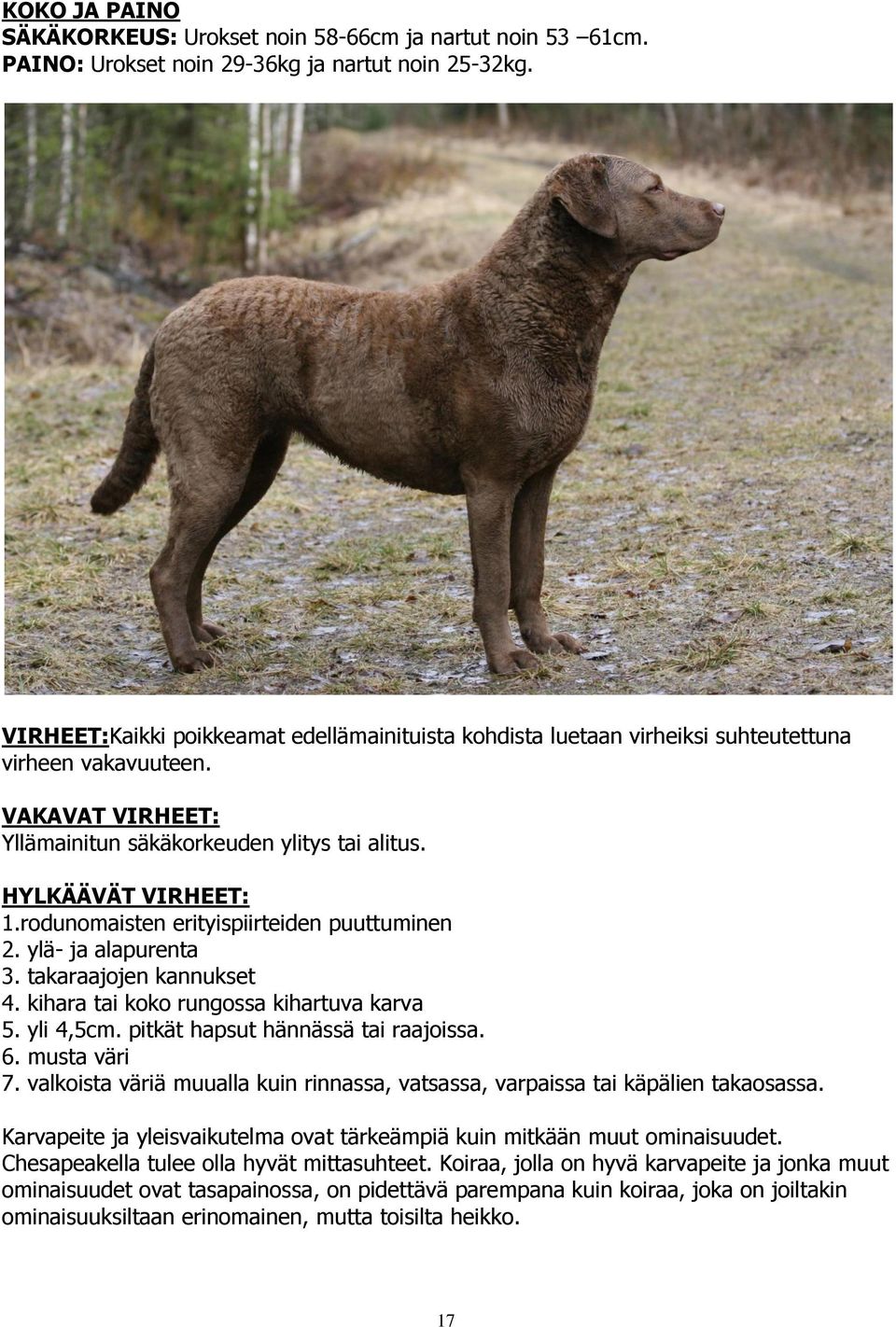 rodunomaisten erityispiirteiden puuttuminen 2. ylä- ja alapurenta 3. takaraajojen kannukset 4. kihara tai koko rungossa kihartuva karva 5. yli 4,5cm. pitkät hapsut hännässä tai raajoissa. 6.