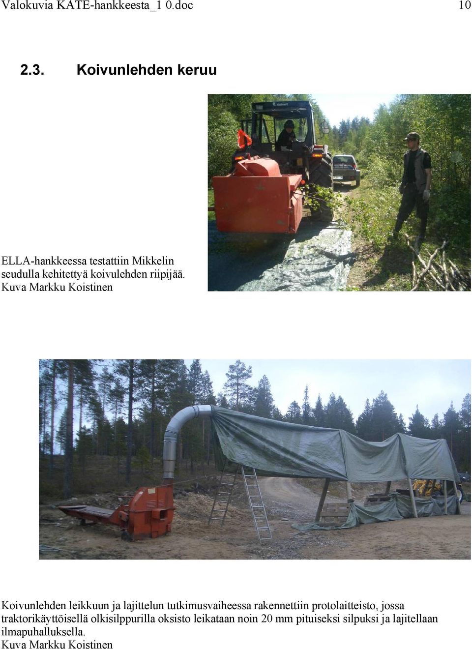 Kuva Markku Koistinen Koivunlehden leikkuun ja lajittelun tutkimusvaiheessa rakennettiin