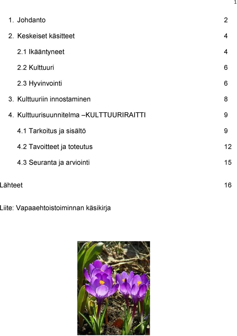 Kulttuurisuunnitelma KULTTUURIRAITTI 9 4.1 Tarkoitus ja sisältö 9 4.