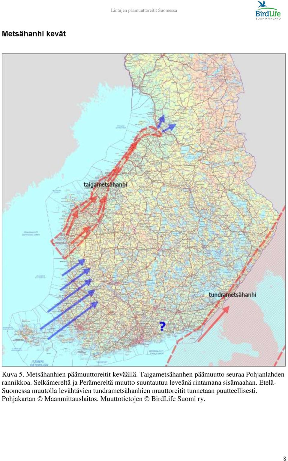 Selkämereltä ja Perämereltä muutto suuntautuu leveänä rintamana sisämaahan.