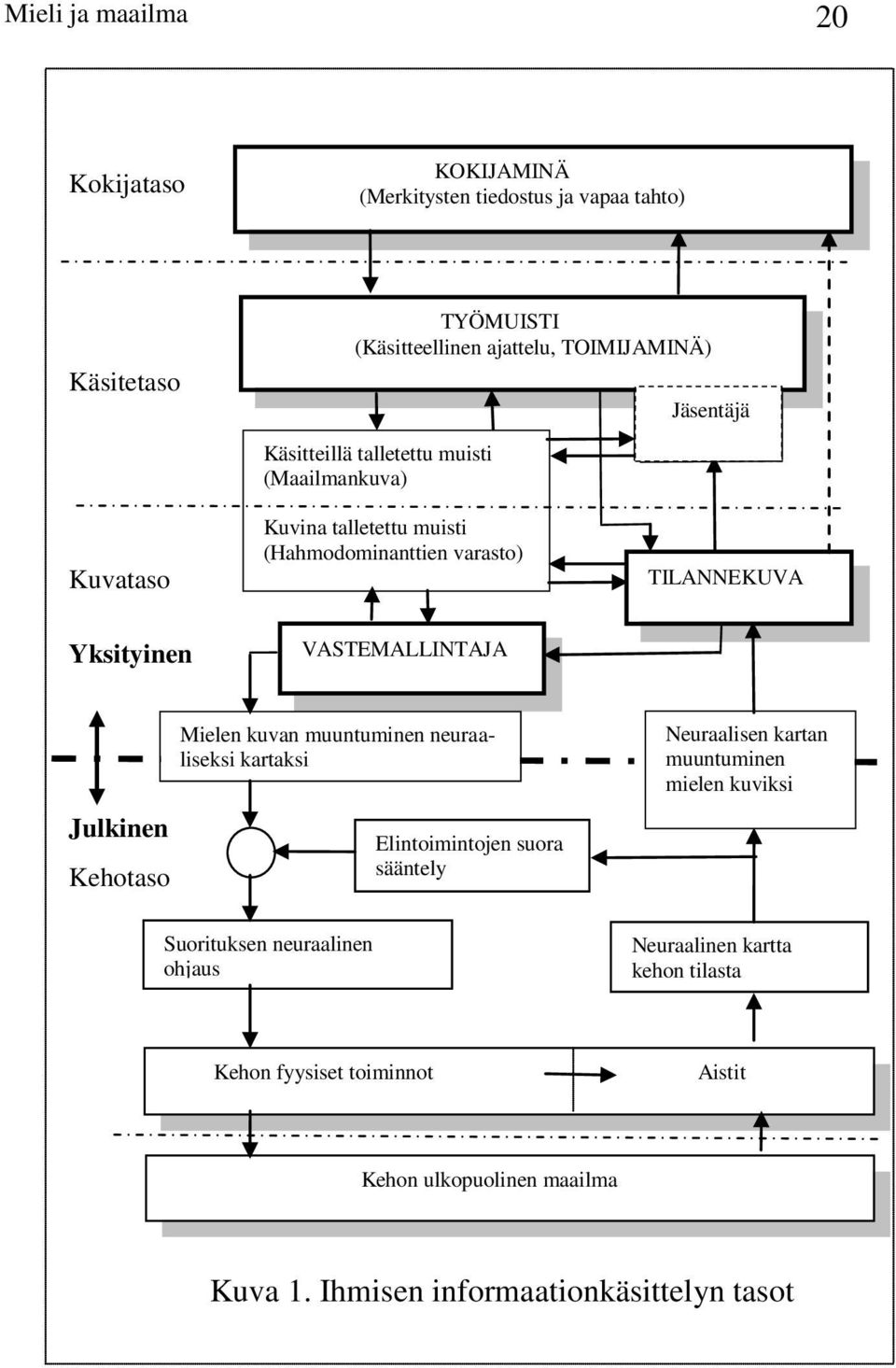 Julkinen Kehotaso Mielen kuvan muuntuminen neuraaliseksi kartaksi Suorituksen neuraalinen ohjaus Elintoimintojen suora sääntely Neuraalisen kartan