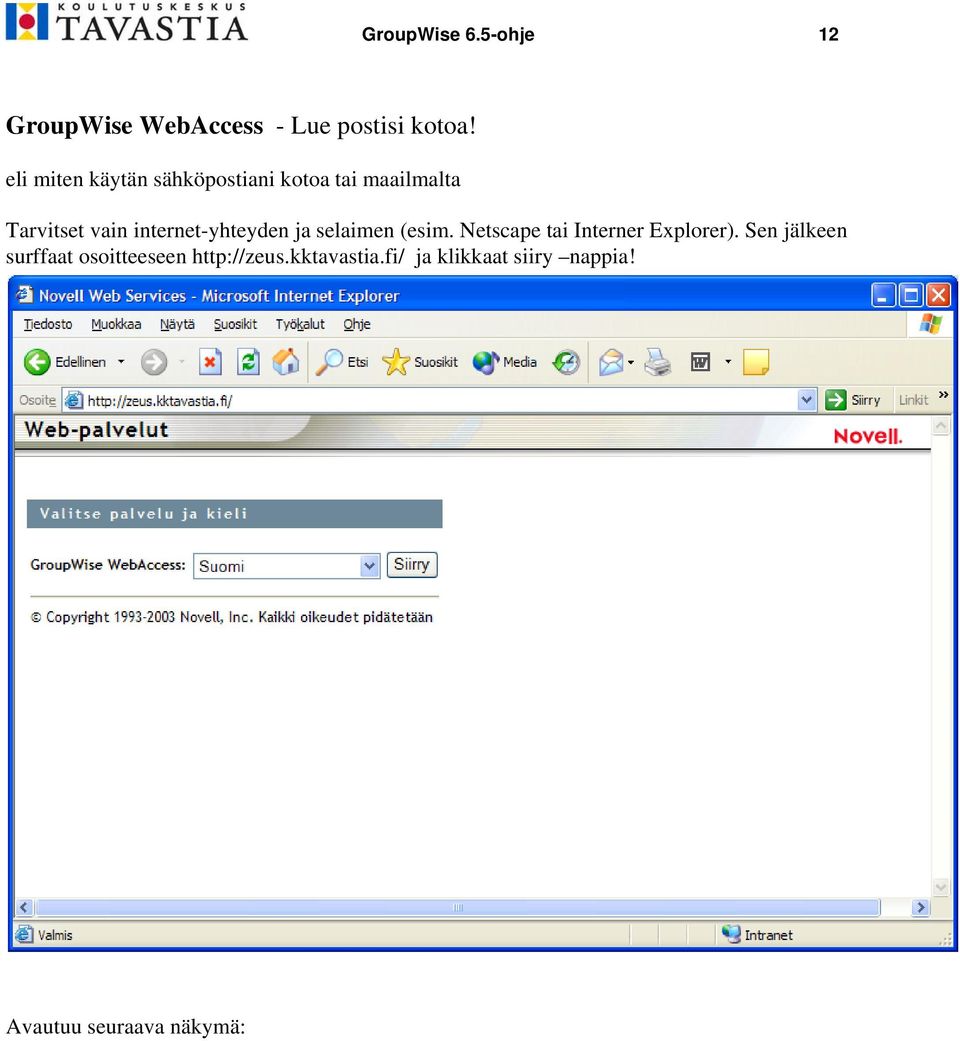 internet-yhteyden ja selaimen (esim. Netscape tai Interner Explorer).