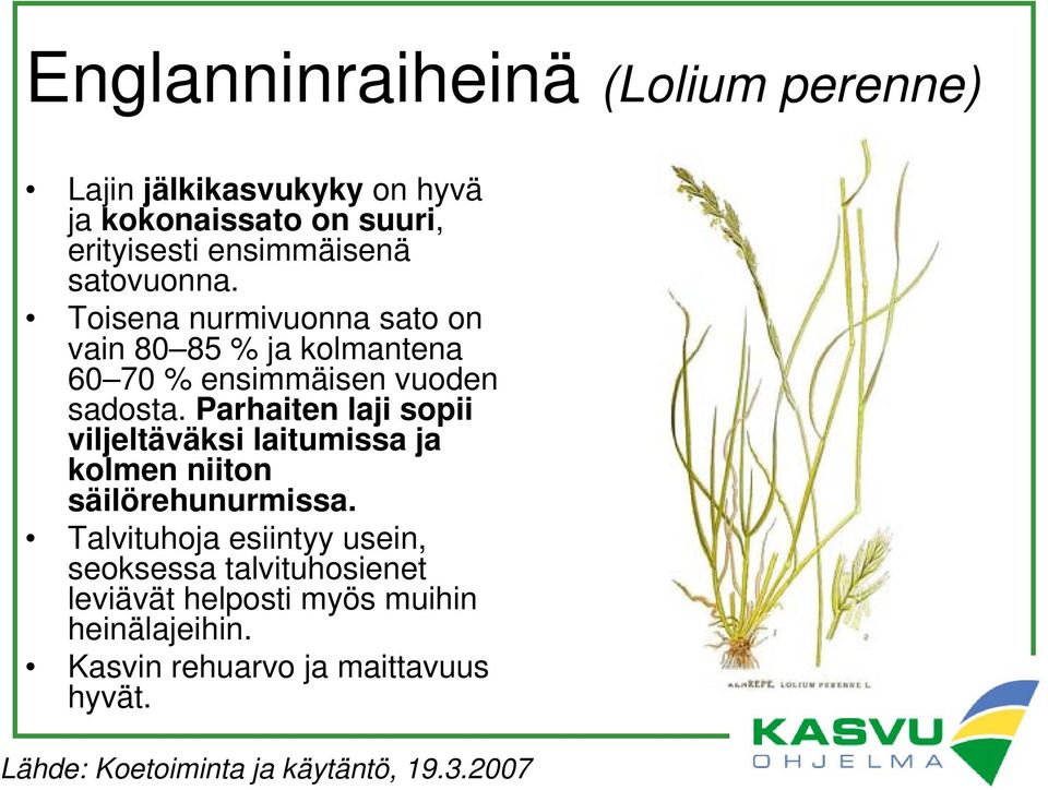 Parhaiten laji sopii viljeltäväksi laitumissa ja kolmen niiton säilörehunurmissa.