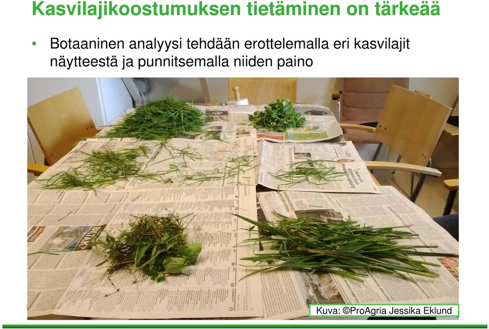 erottelemalla eri kasvilajit näytteestä ja