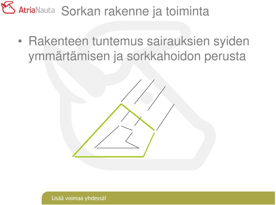 tuntemus sairauksien