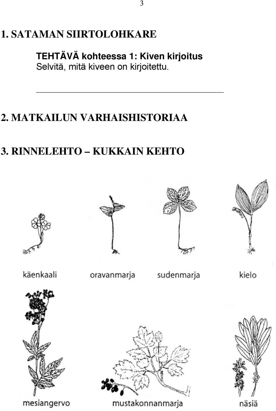 mitä kiveen on kirjoitettu. 2.