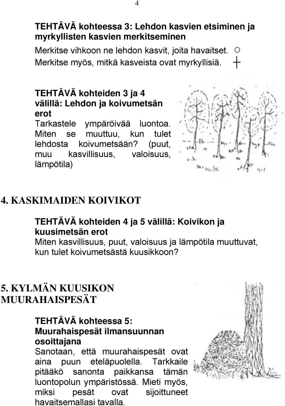 KASKIMAIDEN KOIVIKOT TEHTÄVÄ kohteiden 4 ja 5 välillä: Koivikon ja kuusimetsän erot Miten kasvillisuus, puut, valoisuus ja lämpötila muuttuvat, kun tulet koivumetsästä kuusikkoon? 5. KYLMÄN KUUSIKON MUURAHAISPESÄT TEHTÄVÄ kohteessa 5: Muurahaispesät ilmansuunnan osoittajana Sanotaan, että muurahaispesät ovat aina puun eteläpuolella.