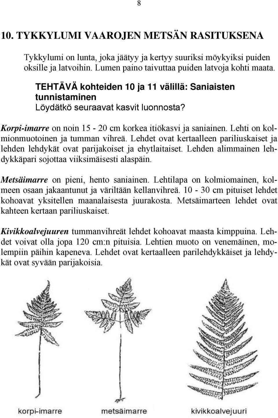 Lehti on kolmionmuotoinen ja tumman vihreä. Lehdet ovat kertaalleen pariliuskaiset ja lehden lehdykät ovat parijakoiset ja ehytlaitaiset.