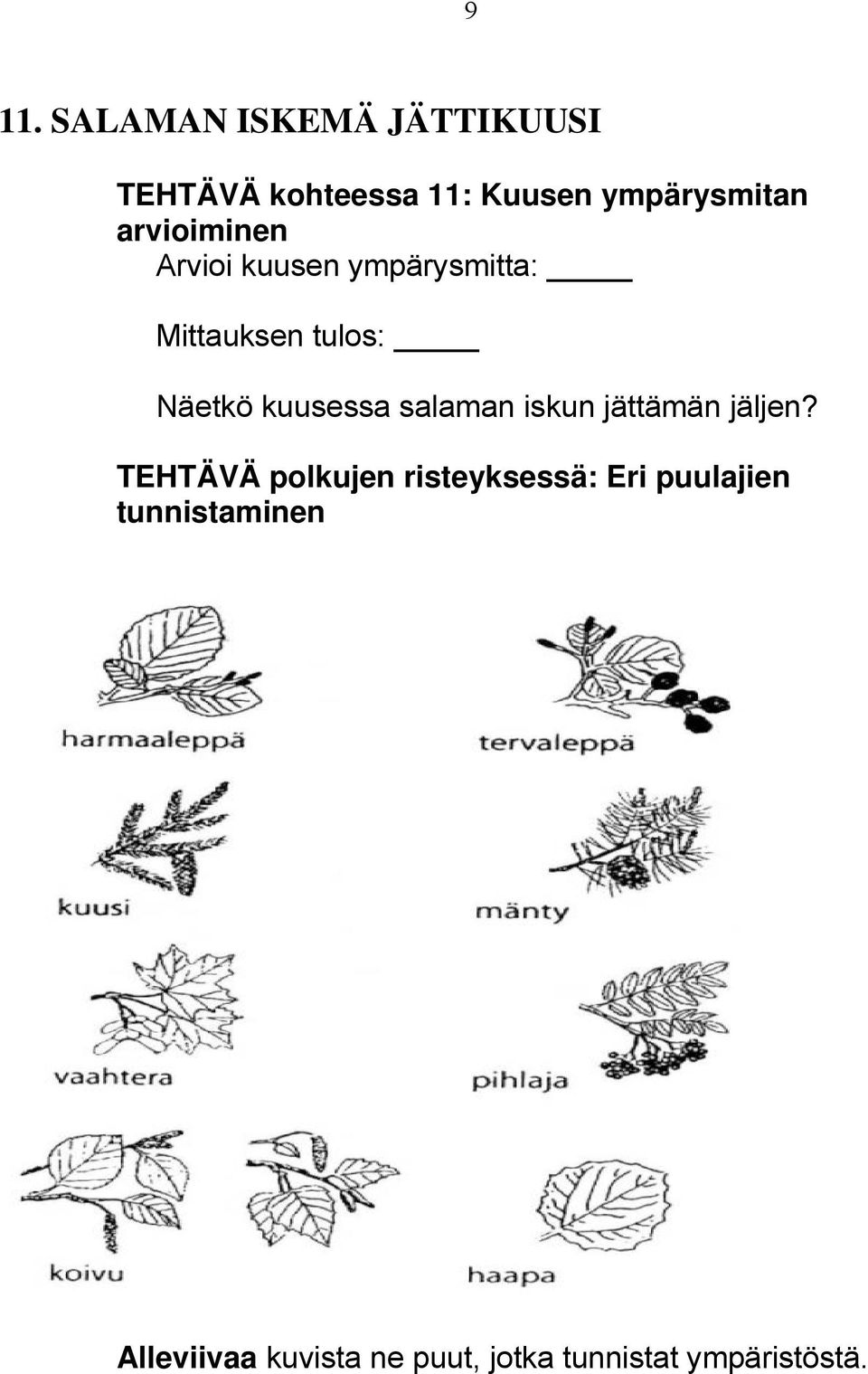 salaman iskun jättämän jäljen?