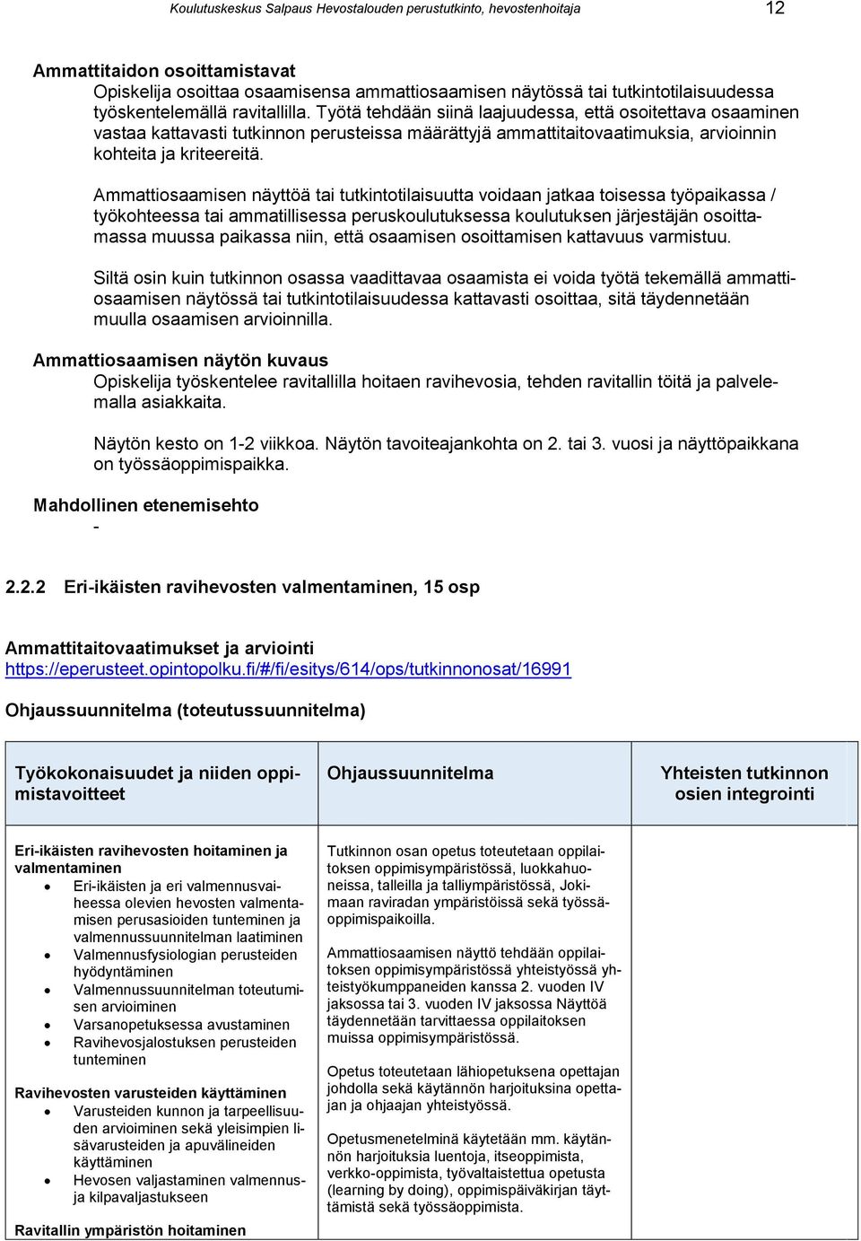 Työtä tehdään siinä laajuudessa, että osoitettava osaaminen vastaa kattavasti tutkinnon perusteissa määrättyjä ammattitaitovaatimuksia, arvioinnin kohteita ja kriteereitä.