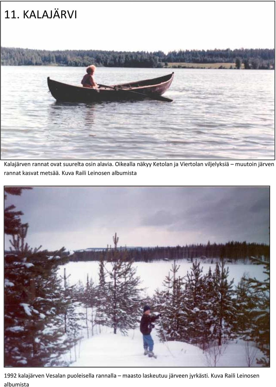 kasvat metsää.