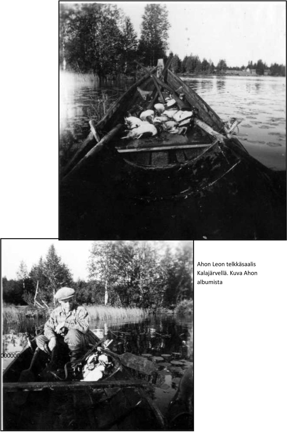 telkkäsaalis