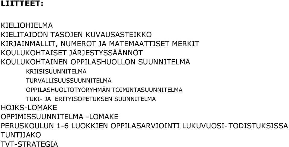 TURVALLISUUSSUUNNITELMA OPPILASHUOLTOTYÖRYHMÄN TOIMINTASUUNNITELMA TUKI- JA ERITYISOPETUKSEN SUUNNITELMA