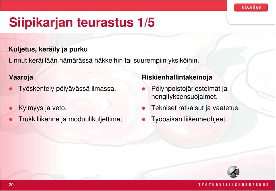 Kylmyys ja veto. Trukkiliikenne ja moduulikuljettimet.