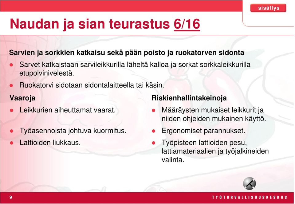 Ruokatorvi sidotaan sidontalaitteella tai käsin. Leikkurien aiheuttamat vaarat. Työasennoista johtuva kuormitus.