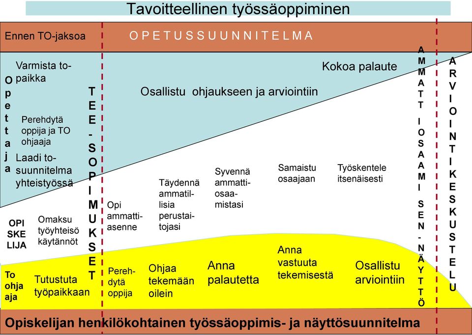 arviointiin äydennä ammatillisia perustaitojasi Ohjaa tekemään oilein yvennä ammattiosaamistasi nna palautetta amaistu osaajaan nna vastuuta