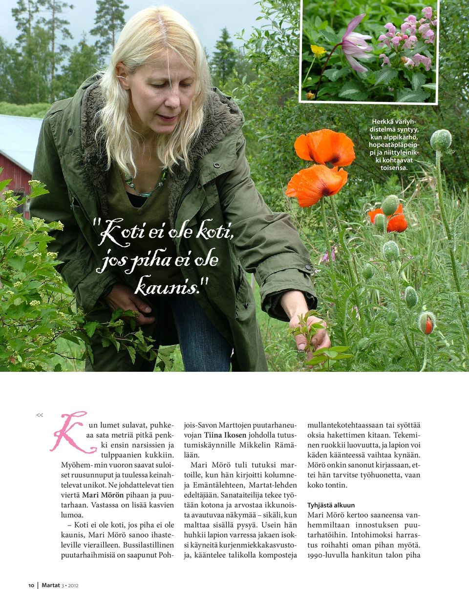 Ne johdattelevat tien viertä Mari Mörön pihaan ja puutarhaan. Vastassa on lisää kasvien lumoa. Koti ei ole koti, jos piha ei ole kaunis, Mari Mörö sanoo ihasteleville vierailleen.