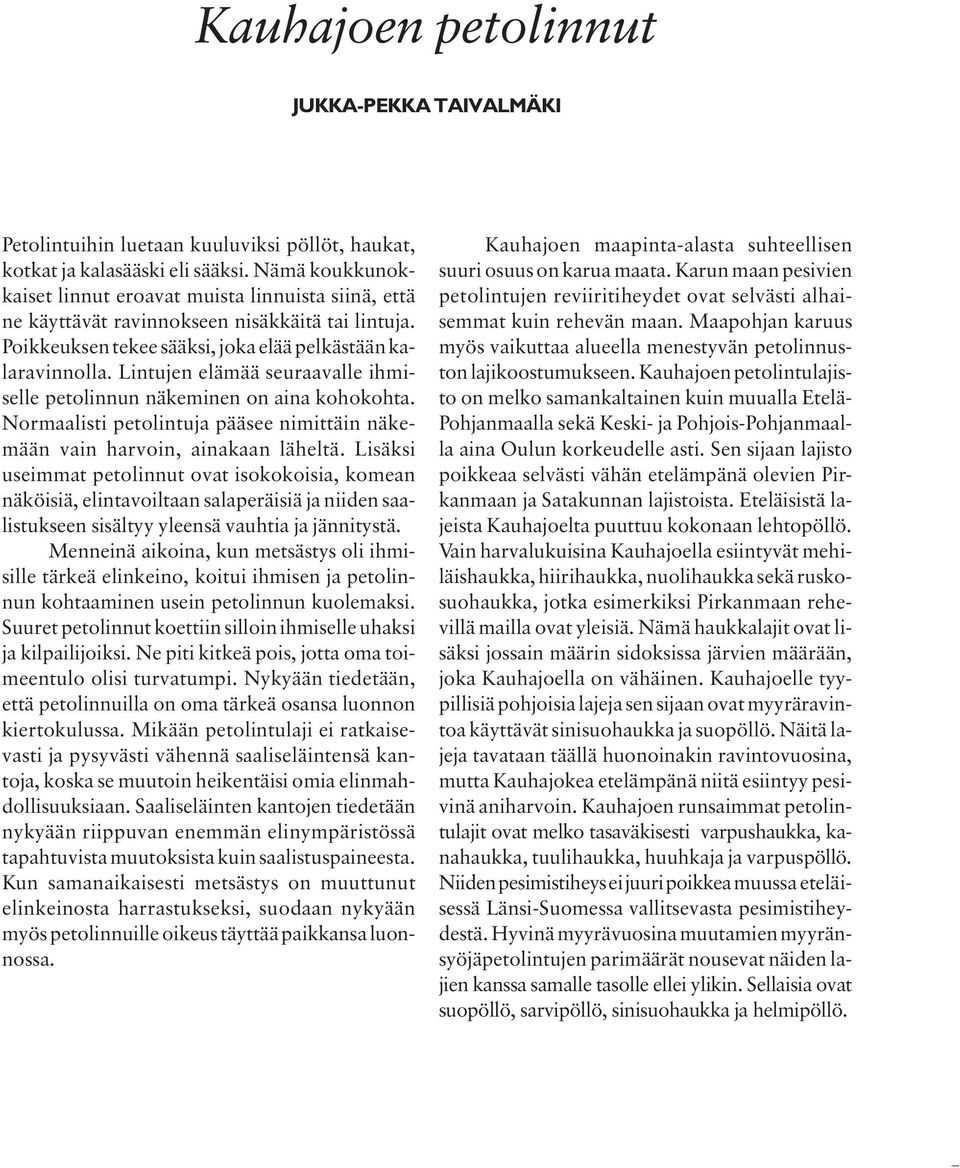 Lintujen elämää seuraavalle ihmiselle petolinnun näkeminen on aina kohokohta. Normaalisti petolintuja pääsee nimittäin näkemään vain harvoin, ainakaan läheltä.