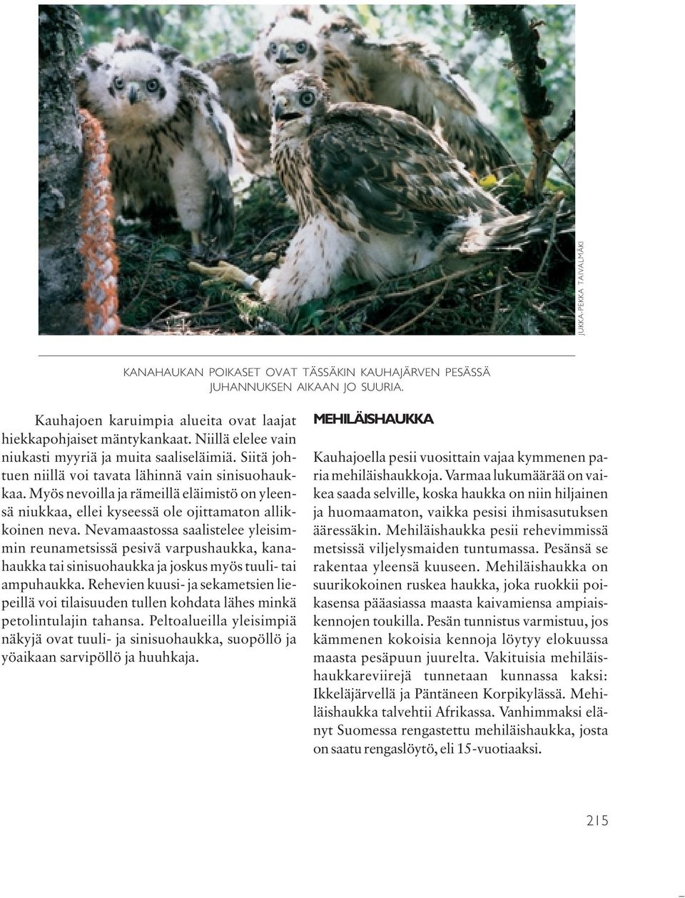 Myös nevoilla ja rämeillä eläimistö on yleensä niukkaa, ellei kyseessä ole ojittamaton allikkoinen neva.