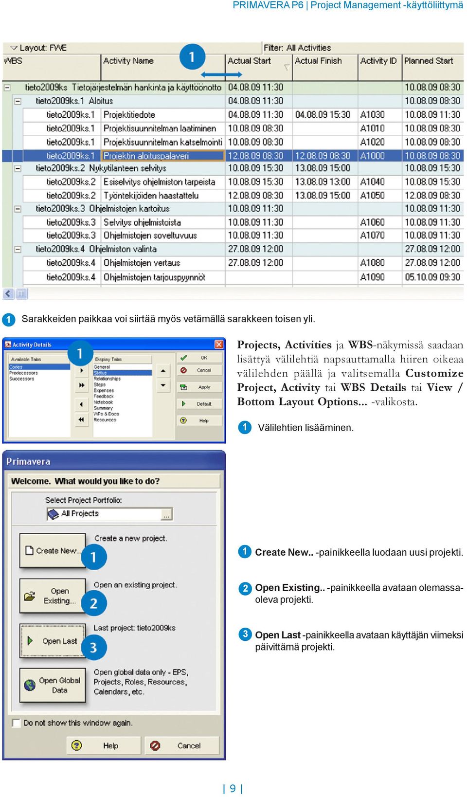 valitsemalla Customize Project, Activity tai WBS Details tai View / Bottom Layout Options... -valikosta.