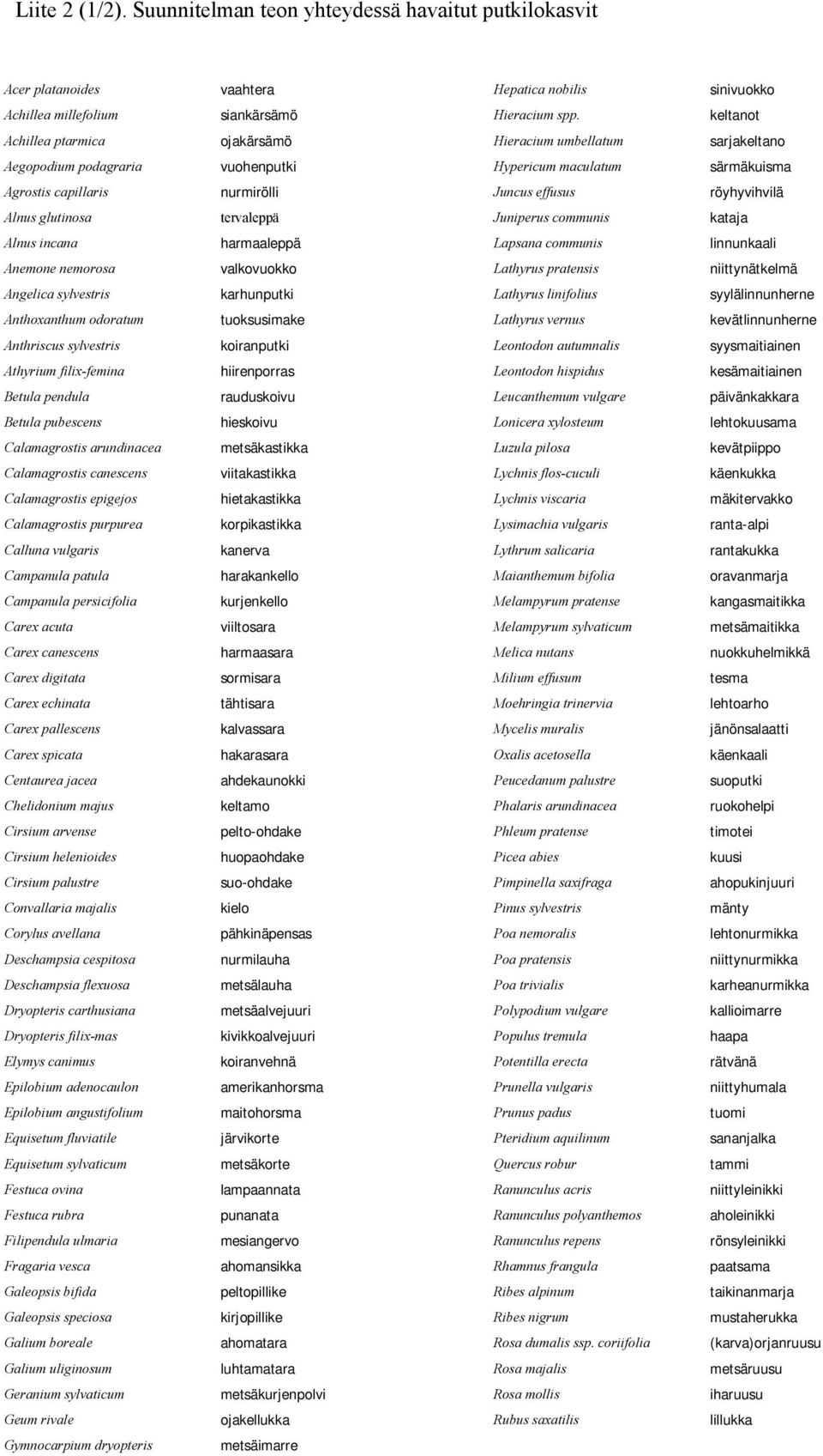 Alnus glutinosa tervaleppä Juniperus communis kataja Alnus incana harmaaleppä Lapsana communis linnunkaali Anemone nemorosa valkovuokko Lathyrus pratensis niittynätkelmä Angelica sylvestris