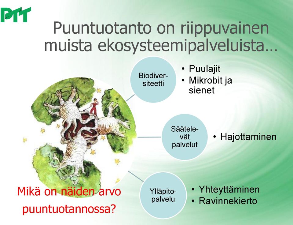 Biodiversiteetti Säätelevät palvelut Hajottaminen Mikä