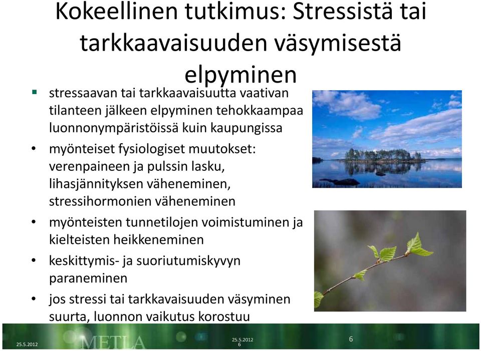 lasku, lihasjännityksen väheneminen, stressihormonien väheneminen myönteisten tunnetilojen voimistuminen ja kielteisten