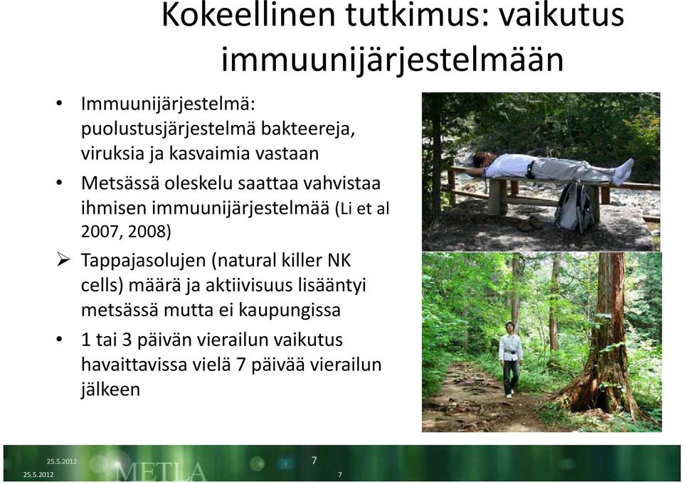 (Li et al 2007, 2008) Tappajasolujen (natural killer NK cells) määrä ja aktiivisuus lisääntyi metsässä