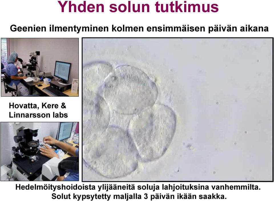 labs Hedelmöityshoidoista ylijääneitä soluja