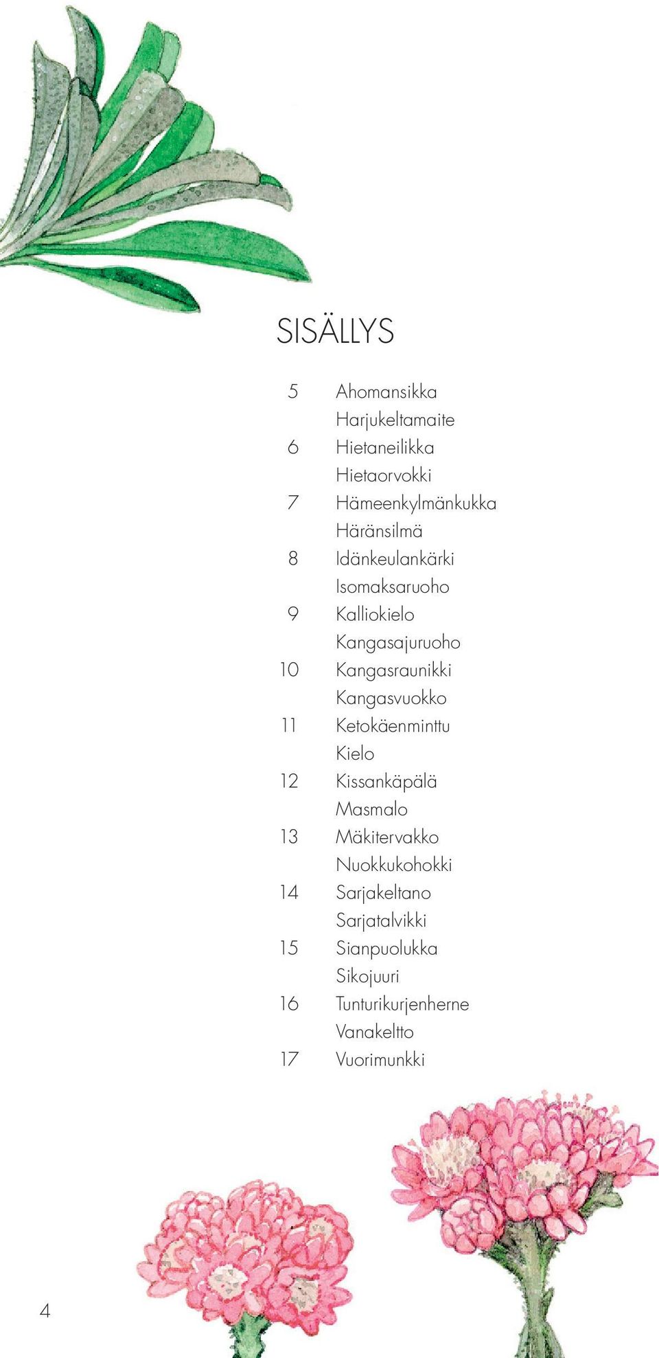 Kangasvuokko 11 Ketokäenminttu Kielo 12 Kissankäpälä Masmalo 13 Mäkitervakko Nuokkukohokki 14