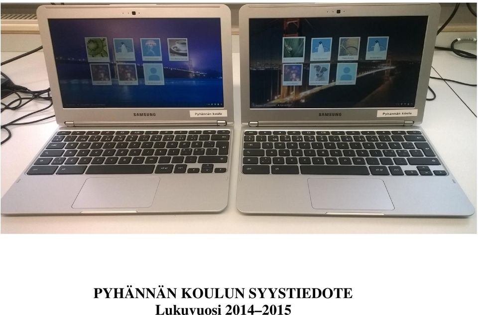 SYYSTIEDOTE