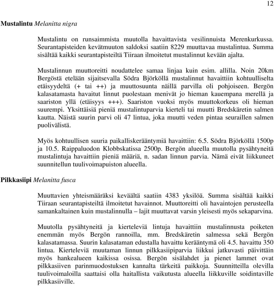 Noin 20km Bergöstä etelään sijaitsevalla Södra Björköllä mustalinnut havaittiin kohtuulliselta etäisyydeltä (+ tai ++) ja muuttosuunta näillä parvilla oli pohjoiseen.