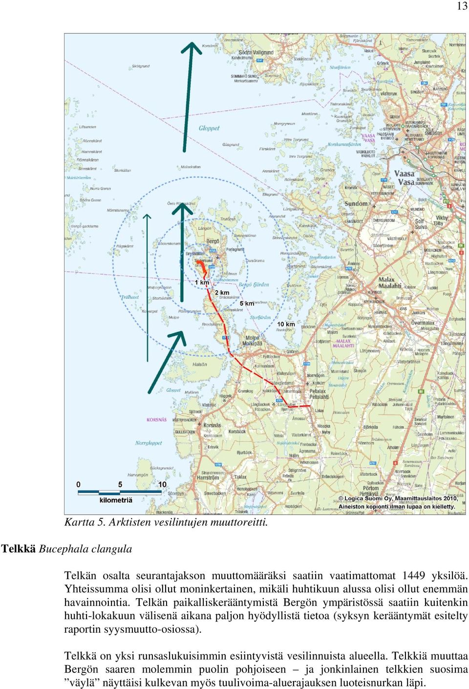 Telkän paikalliskerääntymistä Bergön ympäristössä saatiin kuitenkin huhti-lokakuun välisenä aikana paljon hyödyllistä tietoa (syksyn kerääntymät esitelty raportin