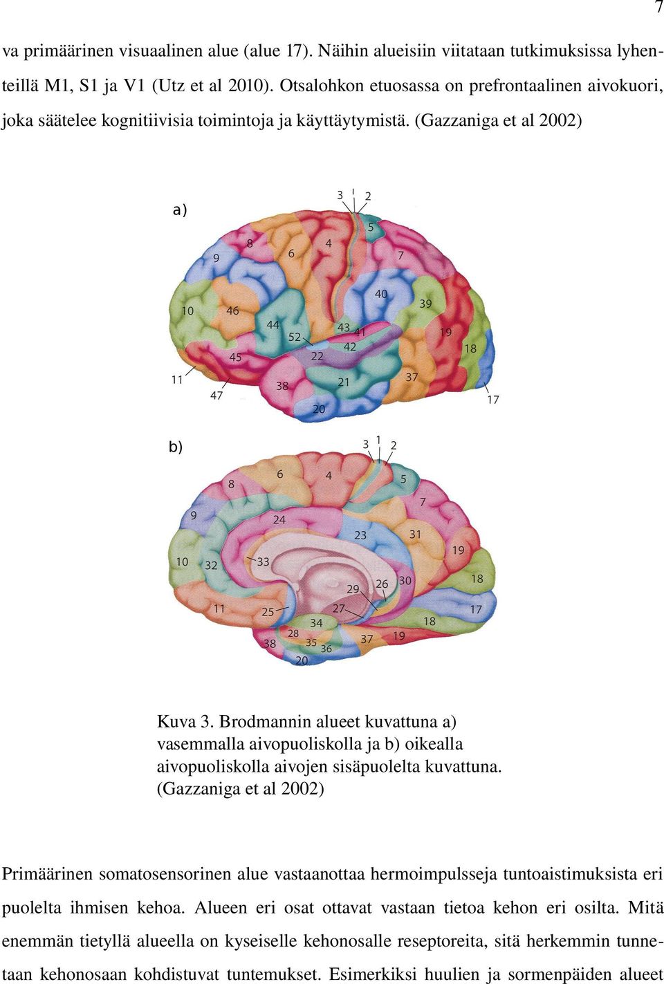 Brodmannin alueet kuvattuna a) vasemmalla aivopuoliskolla ja b) oikealla aivopuoliskolla aivojen sisäpuolelta kuvattuna.
