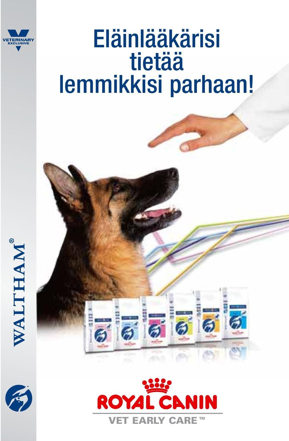 lemmikkisi