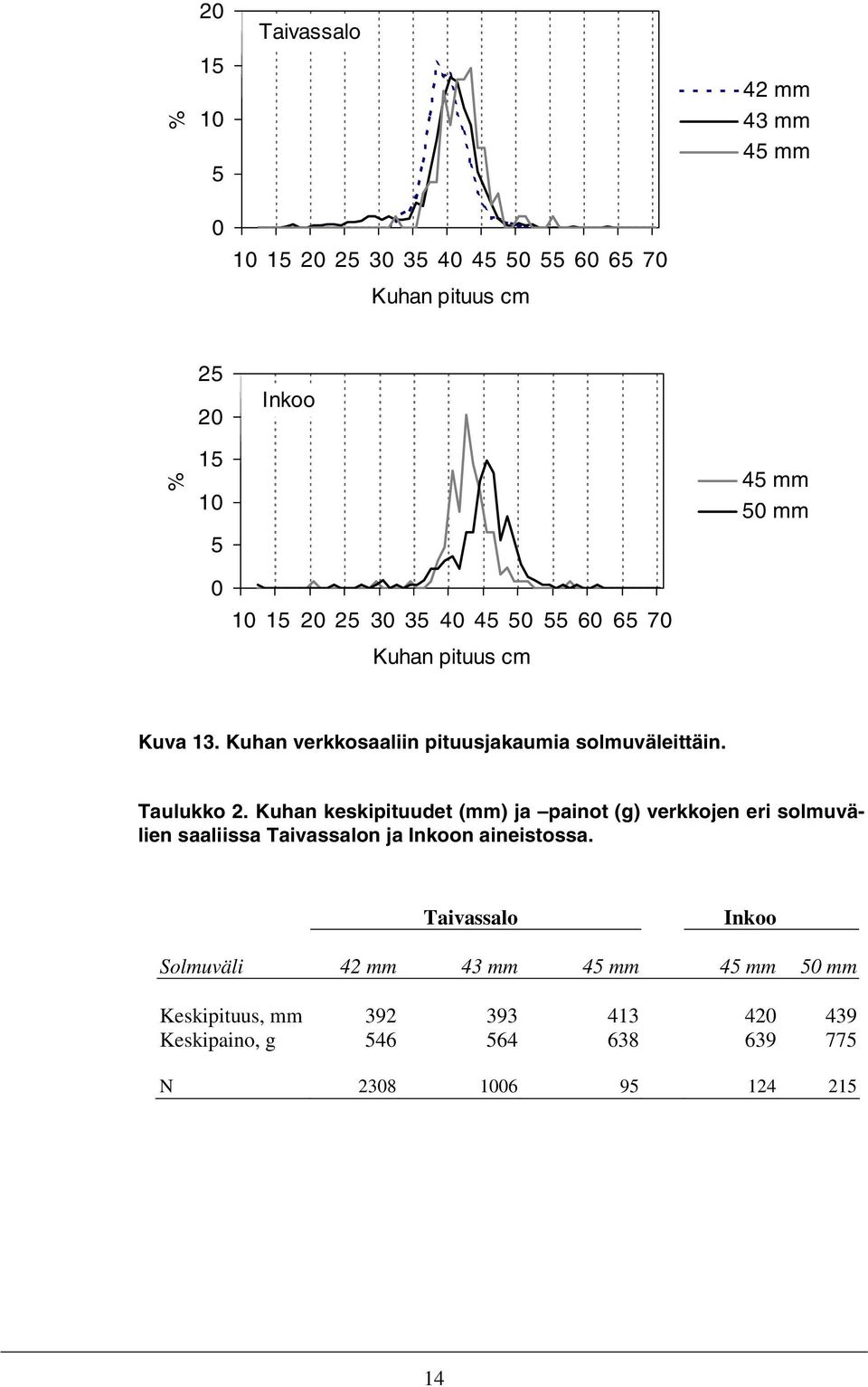 Kuhan keskipituudet (mm) ja painot (g) verkkojen eri solmuvälien saaliissa Taivassalon ja Inkoon aineistossa.