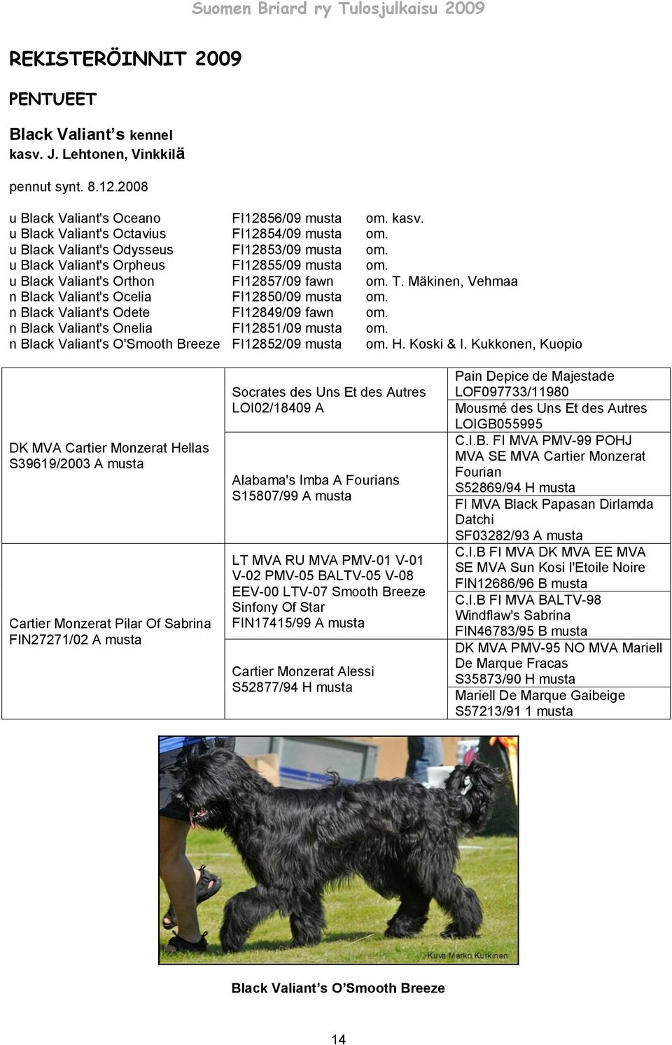 Mäkinen, Vehmaa n Black Valiant's Ocelia FI12850/09 musta om. n Black Valiant's Odete FI12849/09 fawn om. n Black Valiant's Onelia FI12851/09 musta om.