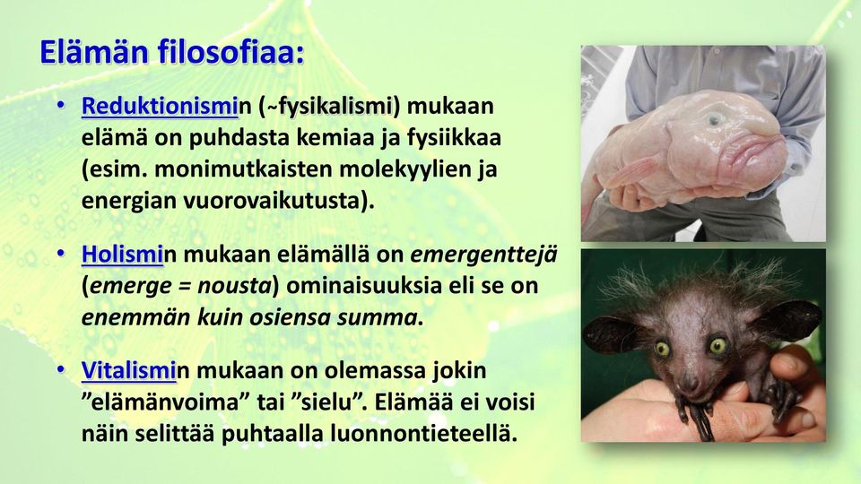 Holismin mukaan elämällä on emergenttejä (emerge = nousta) ominaisuuksia eli se on enemmän kuin