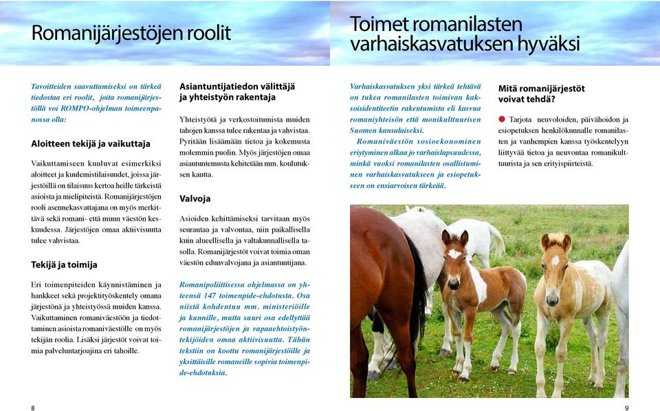 Romanijärjestöjen rooli asennekasvattajana on myös merkittävä sekä romani- että muun väestön keskuudessa. Järjestöjen omaa aktiivisuutta tulee vahvistaa.