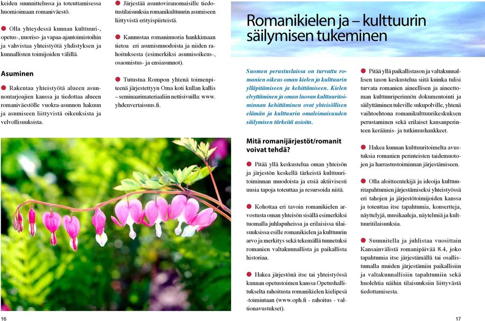 Asuminen Rakentaa yhteistyötä alueen asunnontarjoajien kanssa ja tiedottaa alueen romaniväestölle vuokra-asunnon hakuun ja asumiseen liittyvistä oikeuksista ja velvollisuuksista.