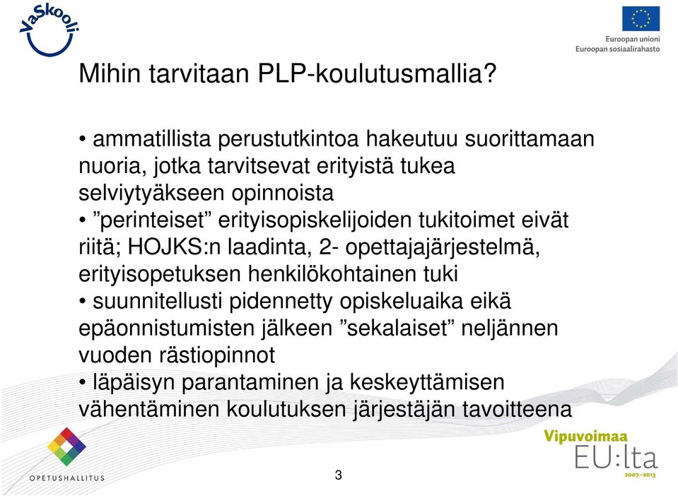 perinteiset erityisopiskelijoiden tukitoimet eivät riitä; HOJKS:n laadinta, 2- opettajajärjestelmä, erityisopetuksen