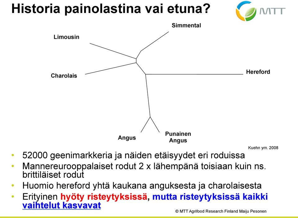 2008 52000 geenimarkkeria ja näiden etäisyydet eri roduissa Mannereurooppalaiset rodut 2 x