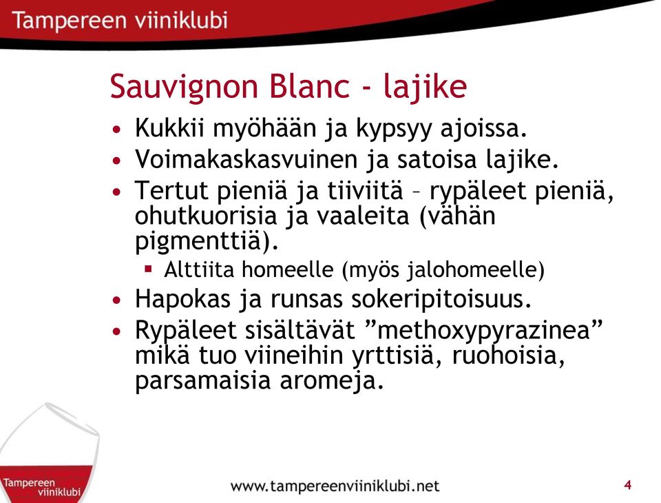 Tertut pieniä ja tiiviitä rypäleet pieniä, ohutkuorisia ja vaaleita (vähän pigmenttiä).