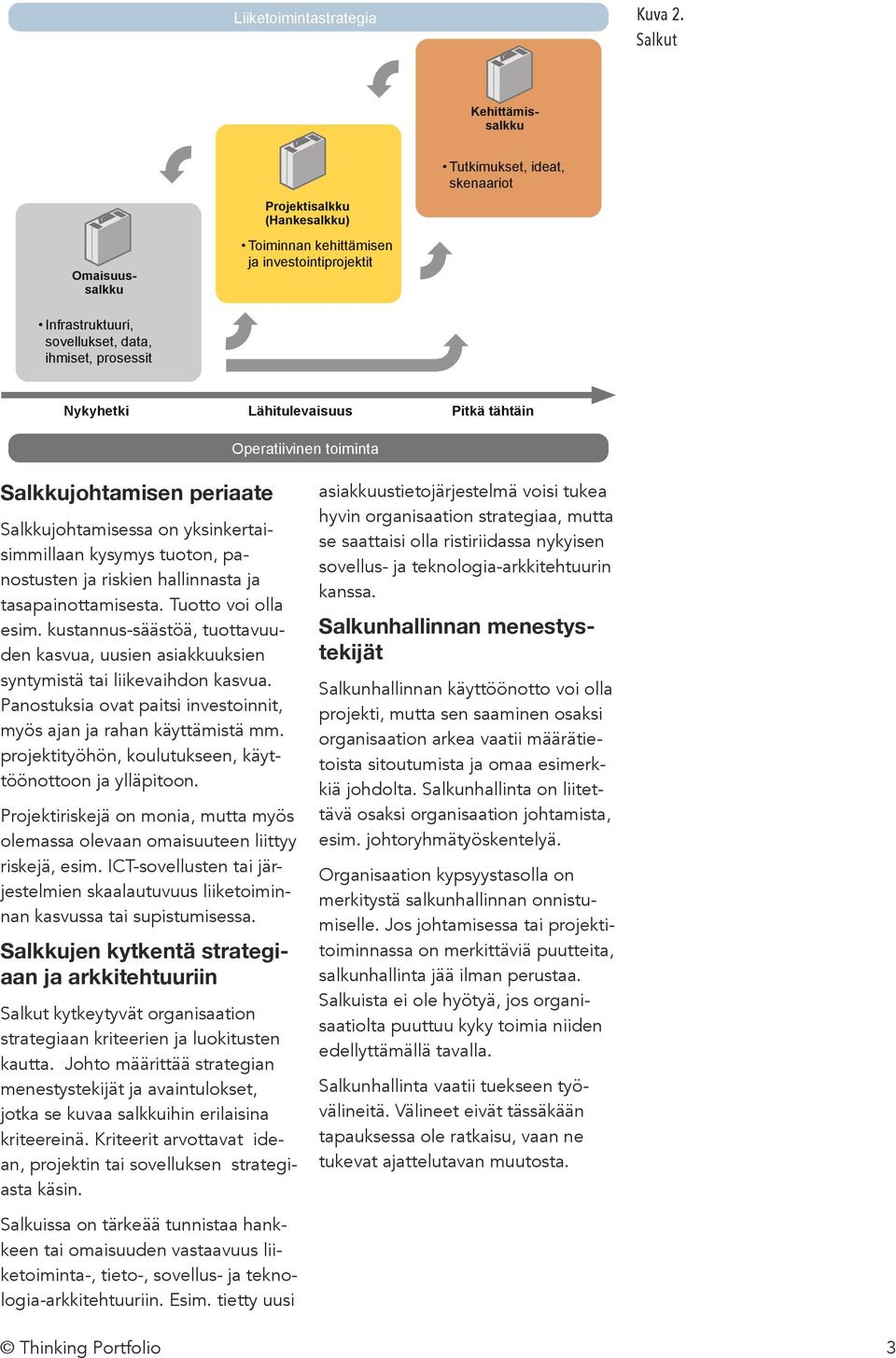 prosessit Nykyhetki Lähitulevaisuus Operatiivinen toiminta Pitkä tähtäin Salkkujohtamisen periaate Salkkujohtamisessa on yksinkertaisimmillaan kysymys tuoton, panostusten ja riskien hallinnasta ja