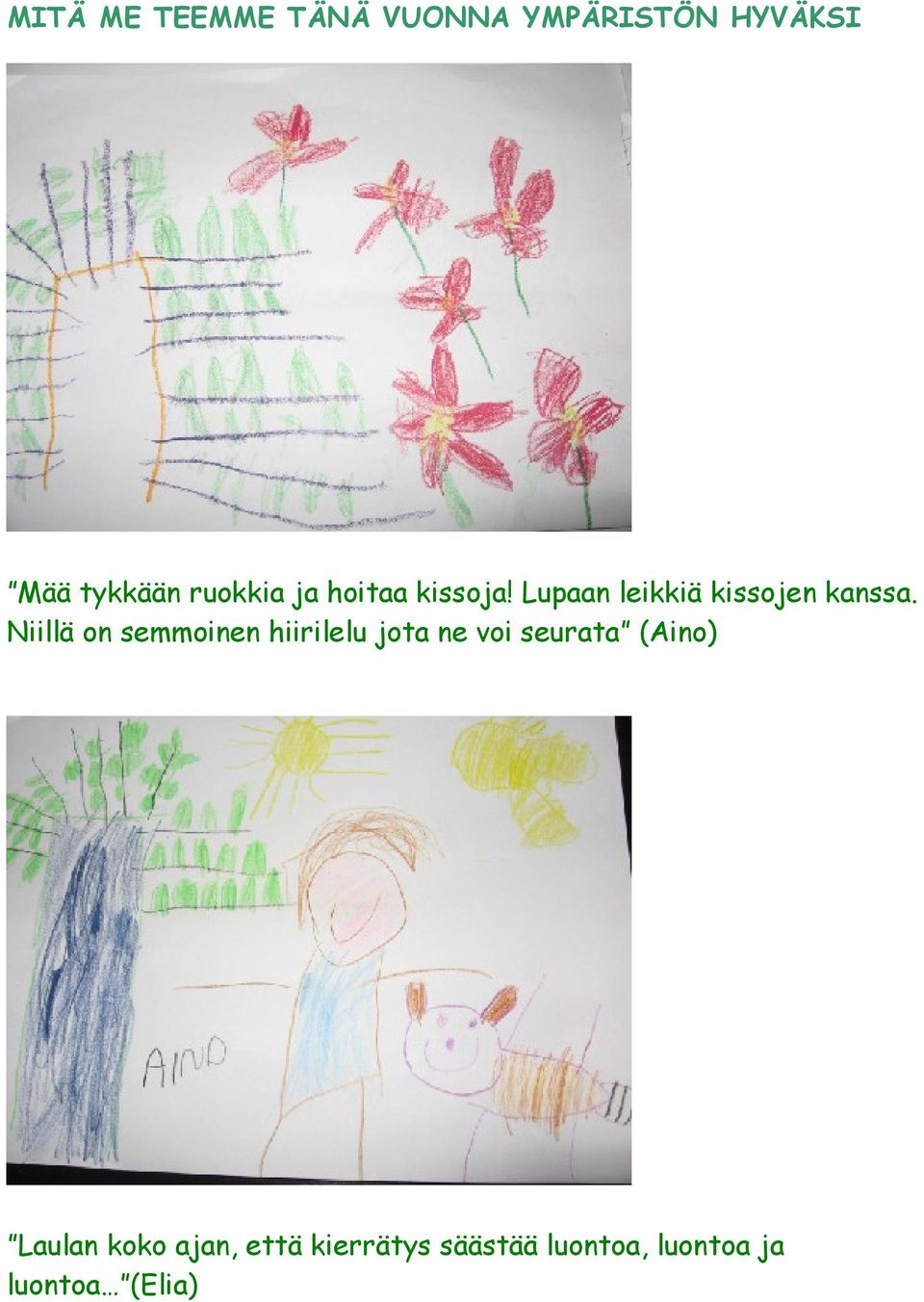 Niillä on semmoinen hiirilelu jota ne voi seurata (Aino)