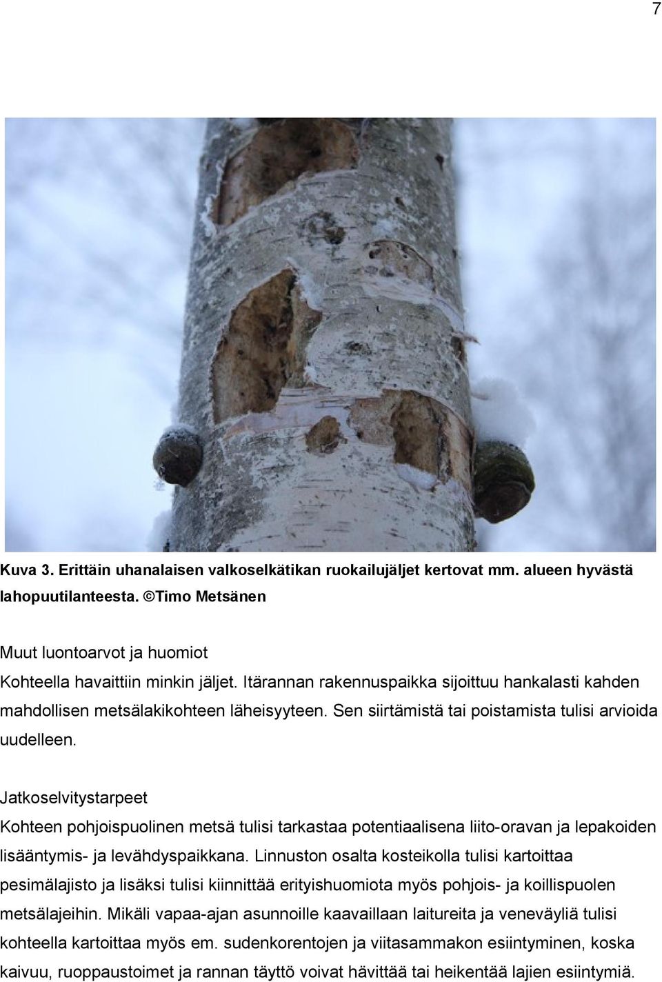 Jatkoselvitystarpeet Kohteen pohjoispuolinen metsä tulisi tarkastaa potentiaalisena liito-oravan ja lepakoiden lisääntymis- ja levähdyspaikkana.