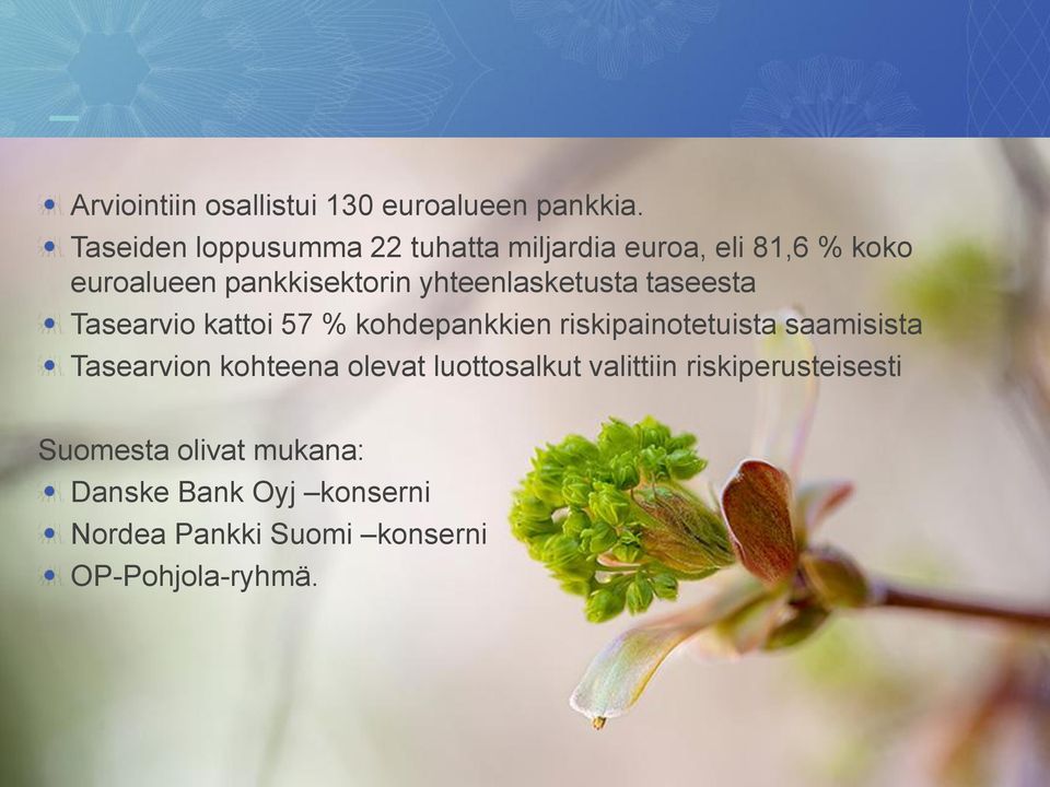yhteenlasketusta taseesta Tasearvio kattoi 57 % kohdepankkien riskipainotetuista saamisista